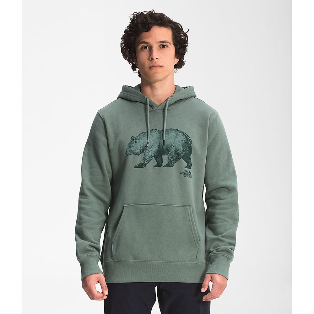 The North Face Hoodie Mens Australia - The North Face Tnf™ Bear Pullover Green (VIW-926180)